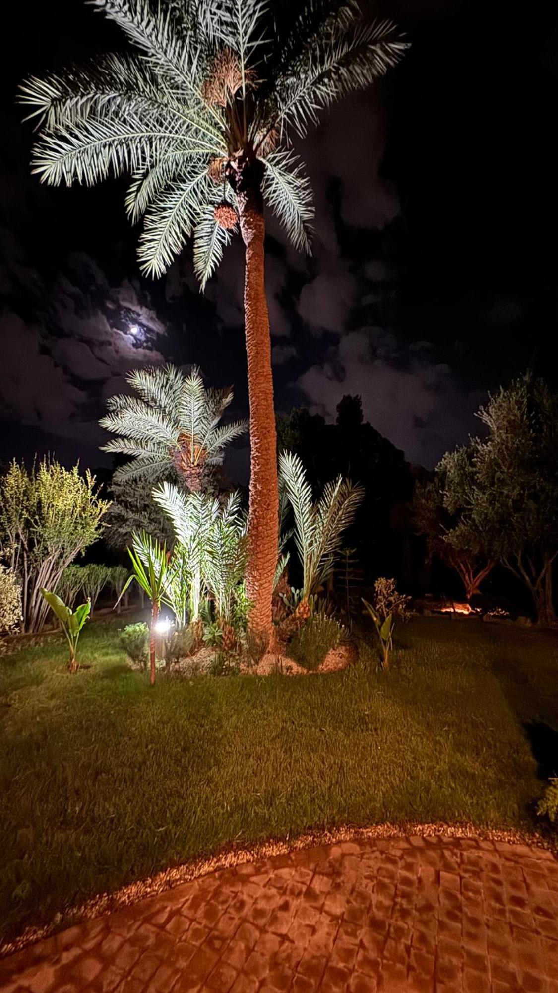 Tres Joli Appart A La Palmeraie Coup De Coeur Marrakesh Buitenkant foto